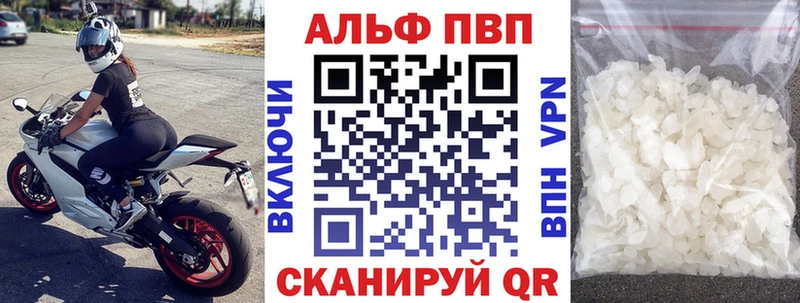 Альфа ПВП СК Новокузнецк