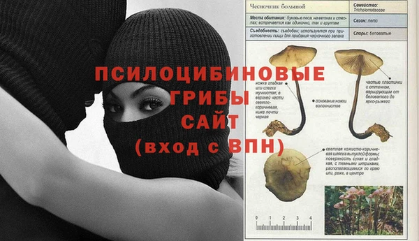 эйфоретик Абаза