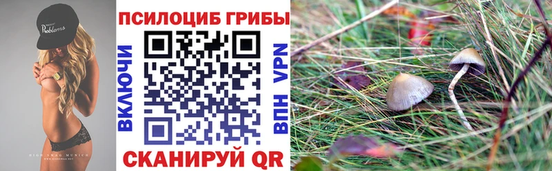 Псилоцибиновые грибы MAGIC MUSHROOMS  блэк спрут как зайти  Новокузнецк  закладка 